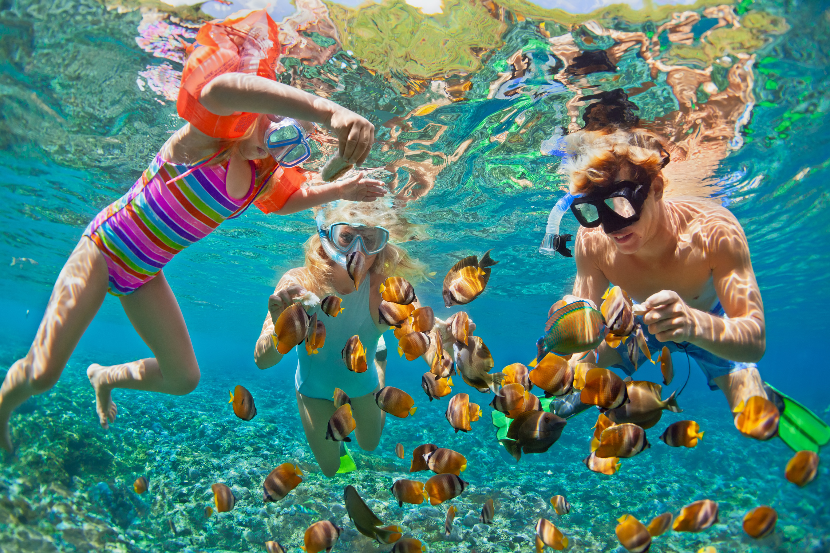 Caribbean snorkeling excursion taken while on a Holland America Line cruise.