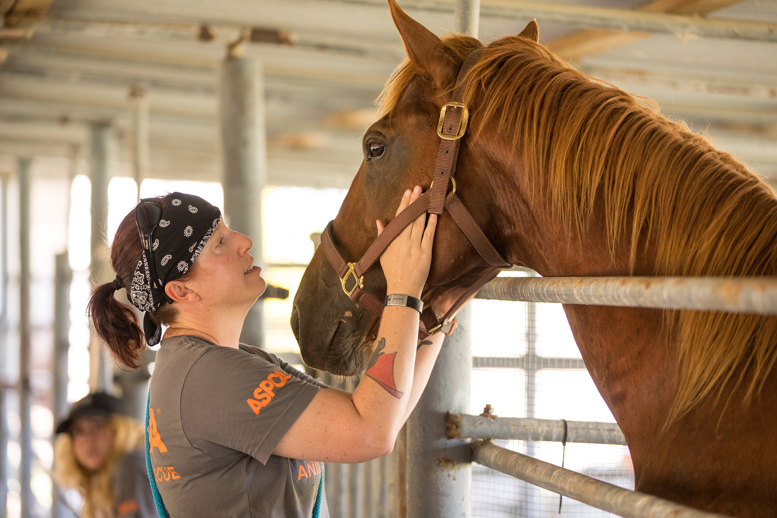 ASPCA National Preparedness Month – National Field Response (Hurricane Rescue)