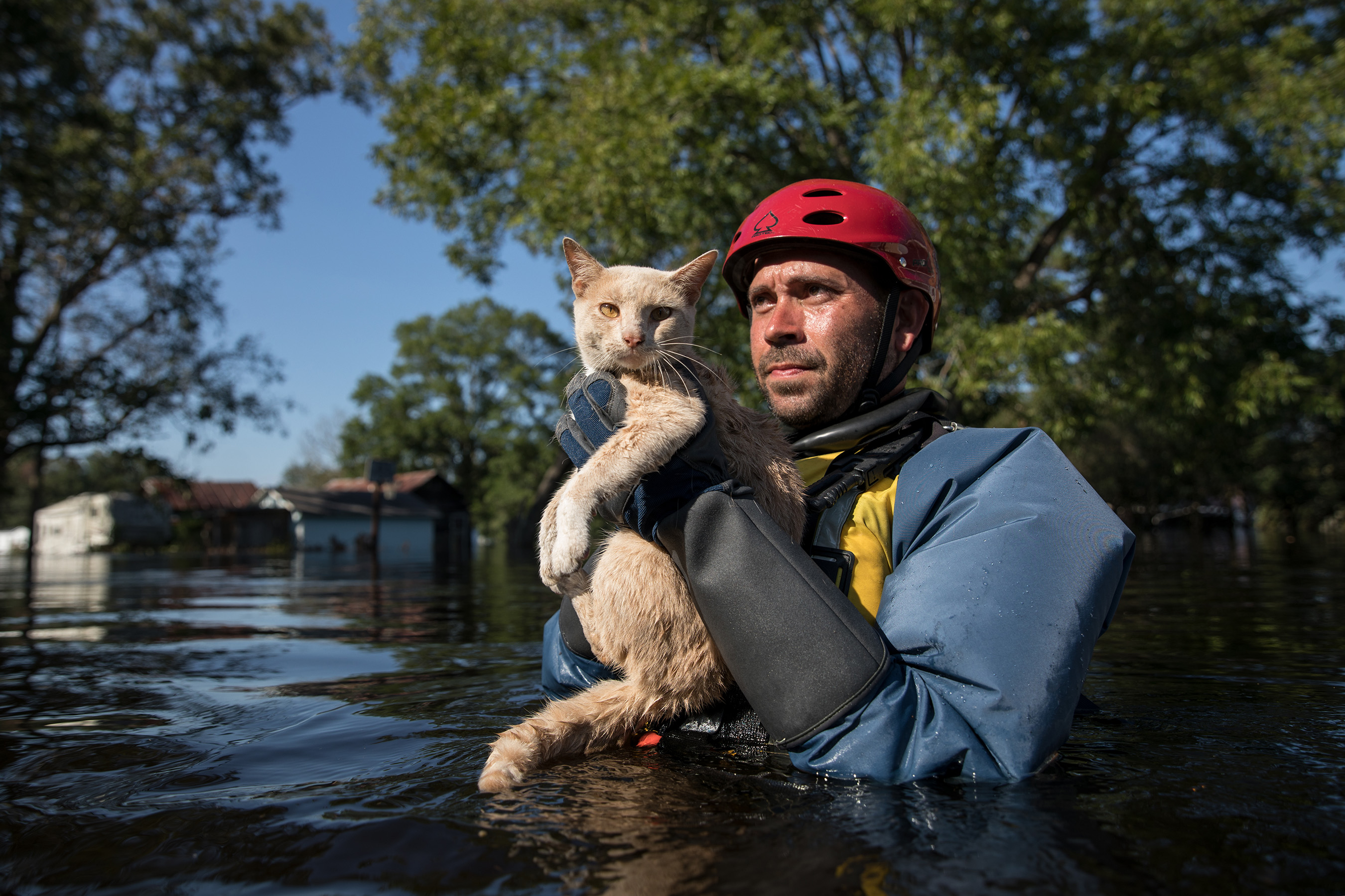 ASPCA National Preparedness Month – National Field Response (Flood Rescue)